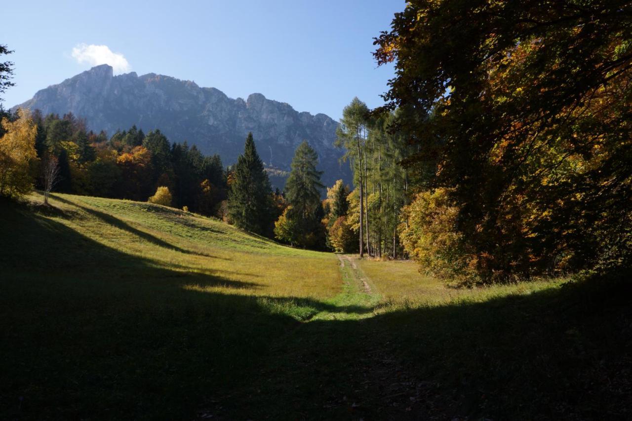 Camera De Le Rondole, Maso Postel - 500 Mt Strada Sterrata Pergine Valsugana Exterior photo
